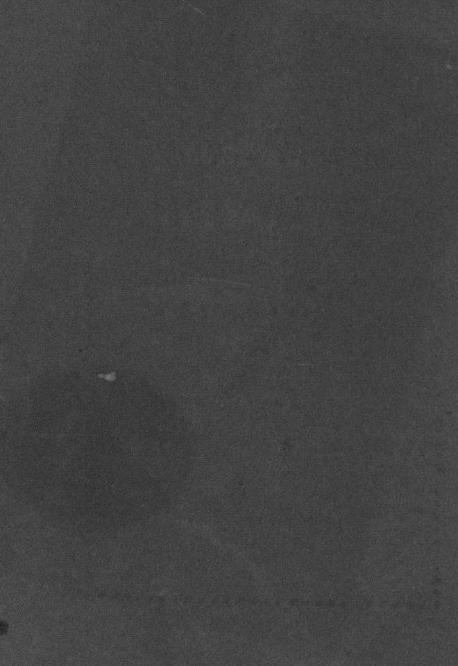 Дополнение к новому уставу Императорского Санкт-Петербургского яхт-клуба и хозяйственное управление общества — страница 2