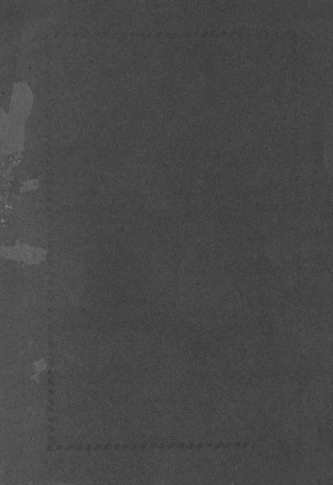 Дополнение к новому уставу Императорского Санкт-Петербургского яхт-клуба и хозяйственное управление общества — страница 43