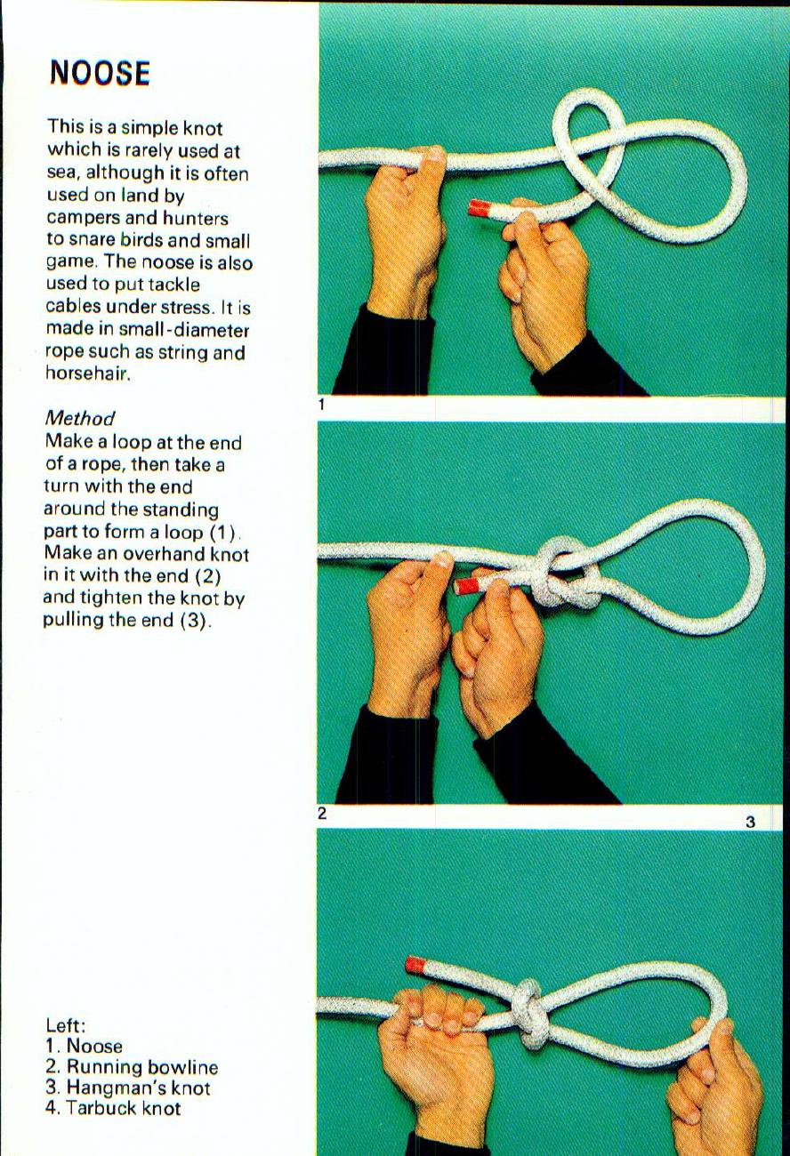 The Morrow Guide to Knots — страница 100