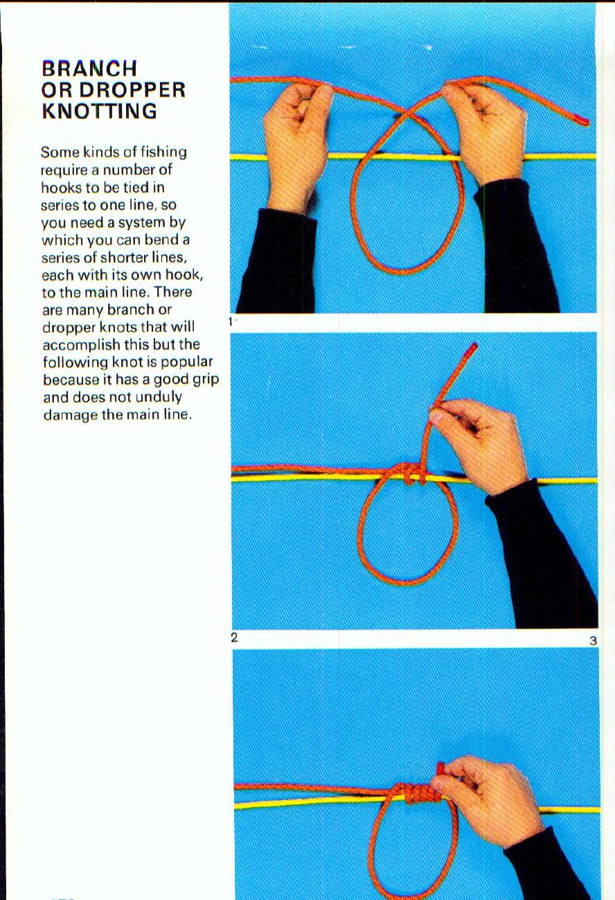 The Morrow Guide to Knots — страница 170