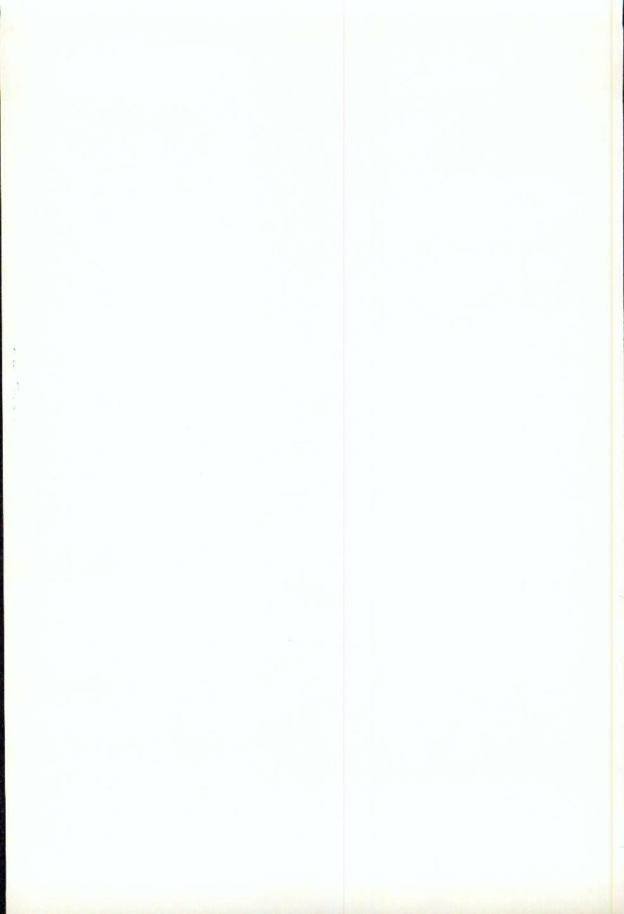 The Morrow Guide to Knots — страница 180