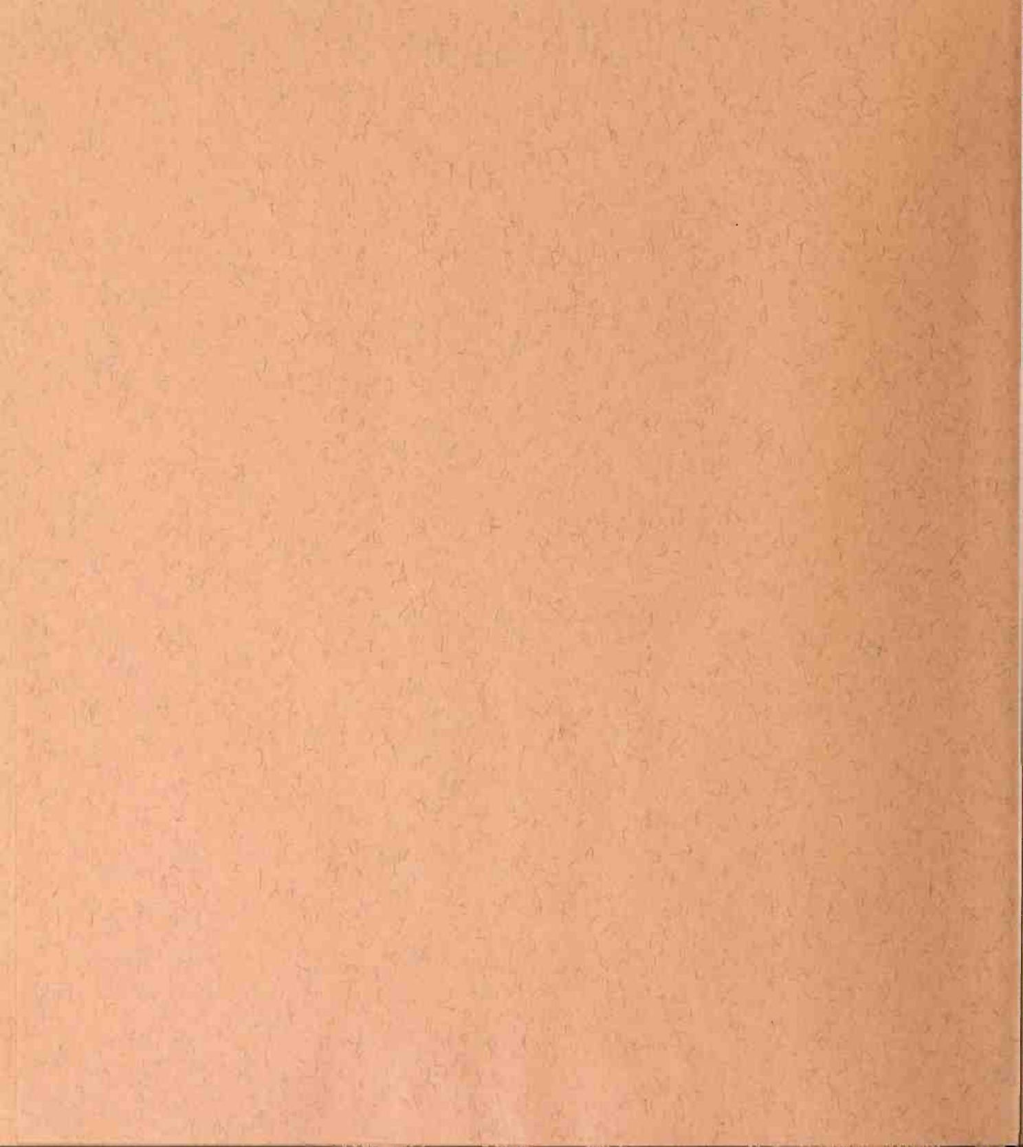 Great Sailing Ships — страница 280