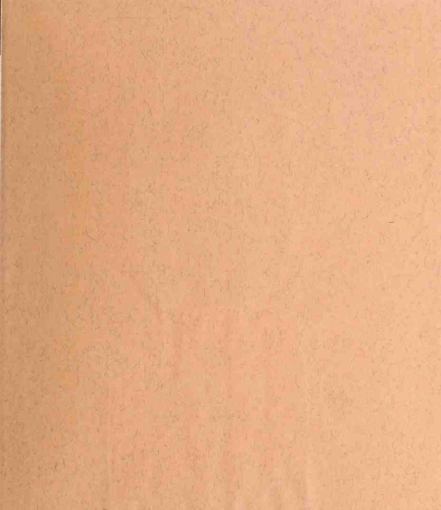 Great Sailing Ships — страница 281