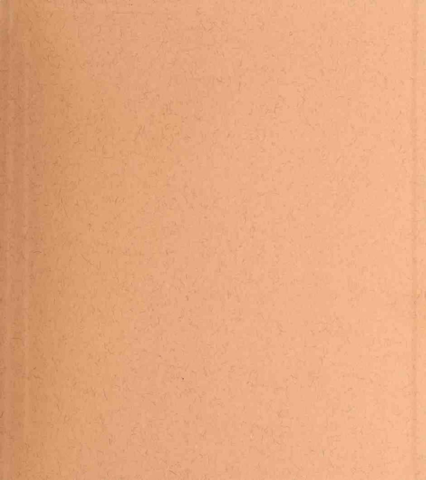 Great Sailing Ships — страница 283