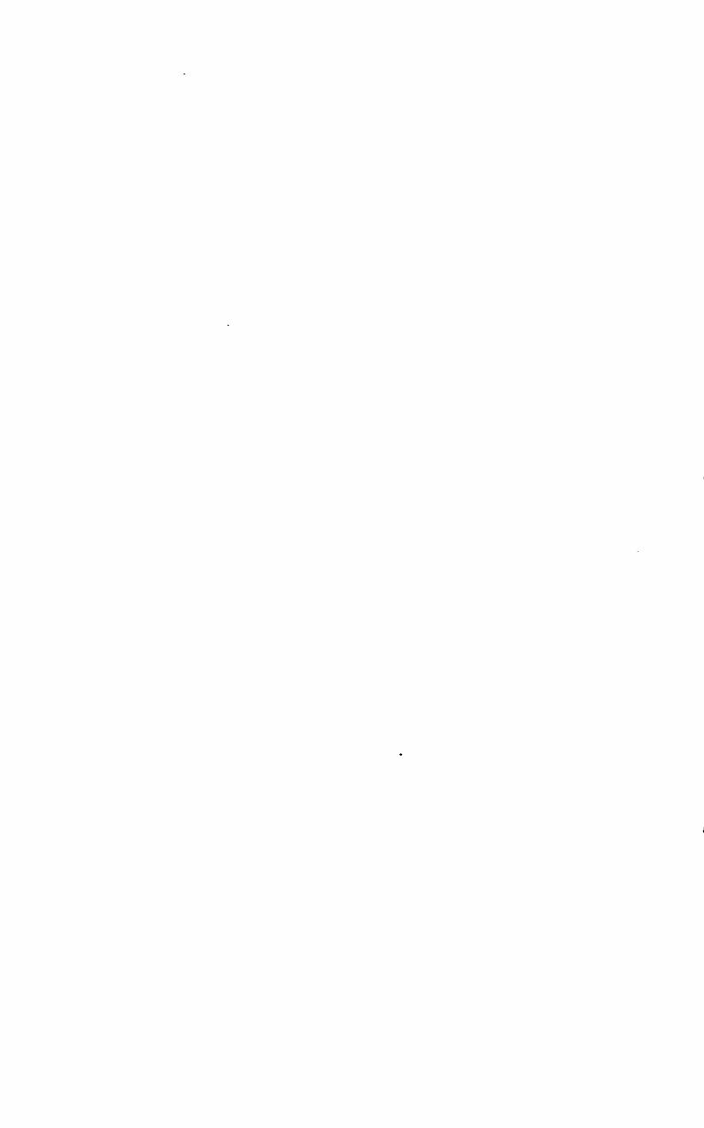 Legends and Superstitions of the Sea, and of Sailors in All Lands and at All Times — страница 507