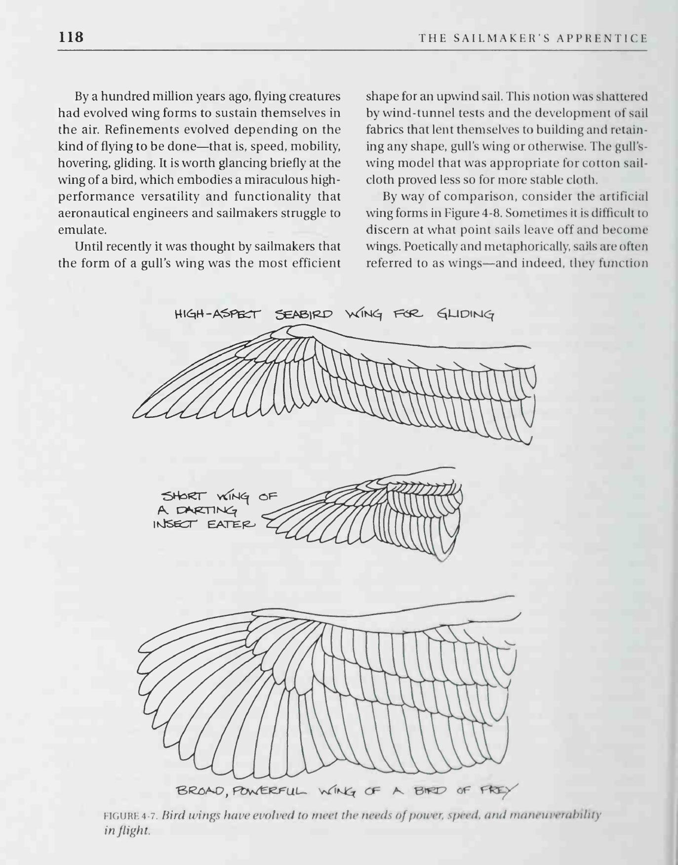 The Sailmaker's Apprentice — страница 136