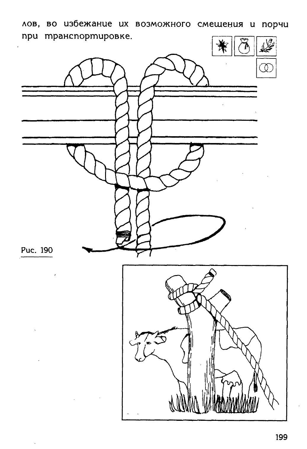 Узлы — страница 183